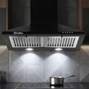Gamma Z Chimney